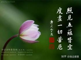 放生,其实就是放生自己