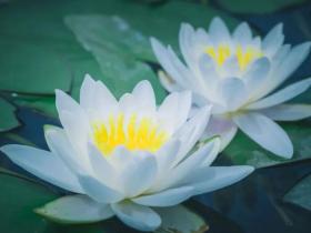 浩气长歌:以岳飞之魂涤荡六年邪婬之垢