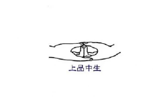 阿弥陀佛的手印有哪些？阿弥陀佛手印图解