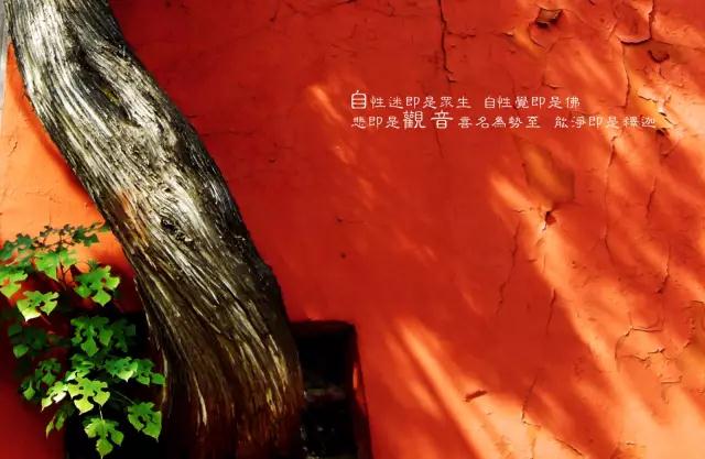 警策_|_“把你翘起的腿放下！”