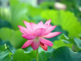 浅谈如何应对戒色道上的中断魔？